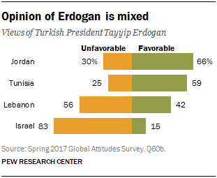 Chart showing that the opinion of Erdogan is mixed