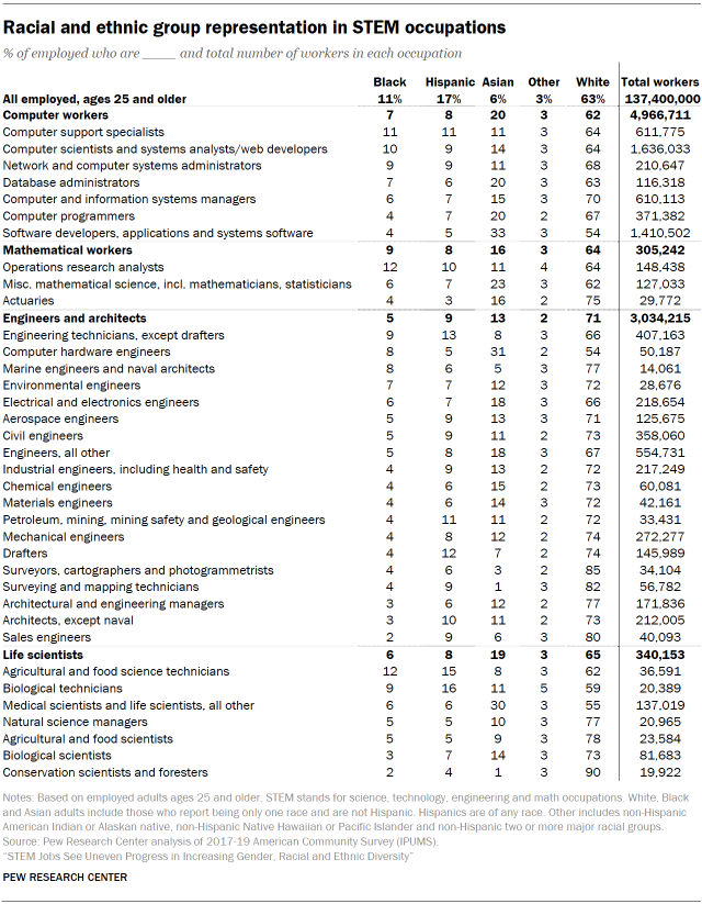 Chart shows racial and ethnic group representation in STEM occupations