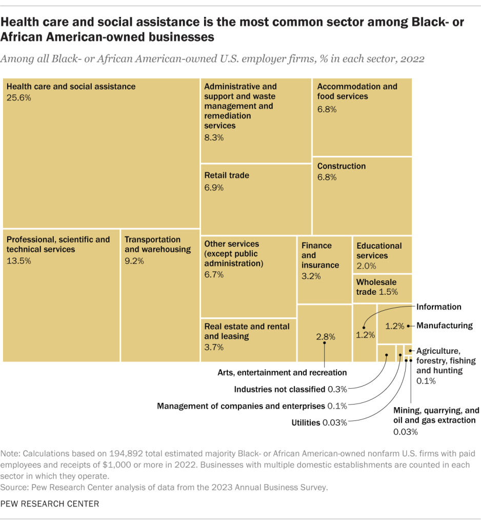 Health care and social assistance is the most common sector among Black- or African American-owned businesses