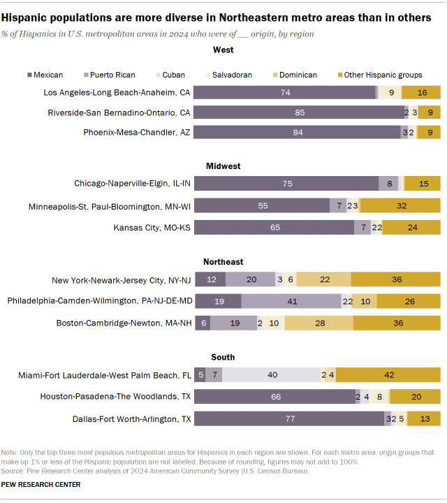 A horizontal stacked bar chart showing that the Hispanic populations are more diverse in Northeastern metro areas than in others.
