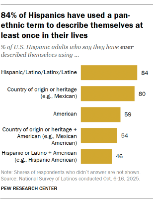 A bar chart showing 84% of Hispanics have used a pan-ethnic term to describe themselves at least once in their lives
