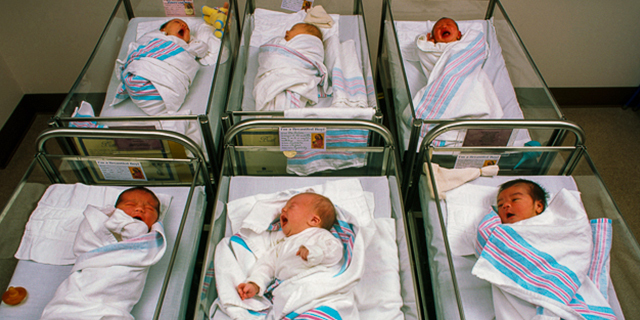 Newborn babies in hospital nursery, Danbury, Connecticut USA ©2006 Blaine Harrington III